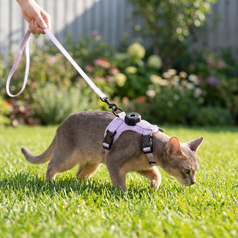 reflective-escape-proof-cat-harness-adjustable-vest-with-built-in-airtag-holder-for-outdoor-walking